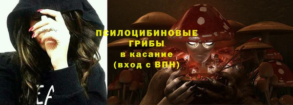 молекула духа Армянск