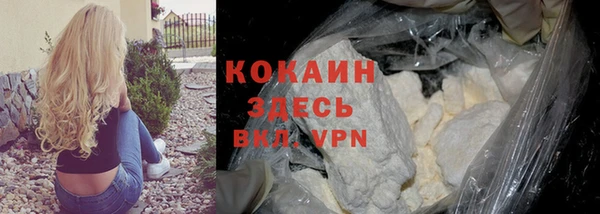 крисы Арсеньев