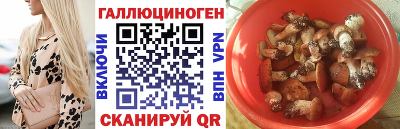 где можно купить наркотик  Спас-Клепики  Галлюциногенные грибы мухоморы 